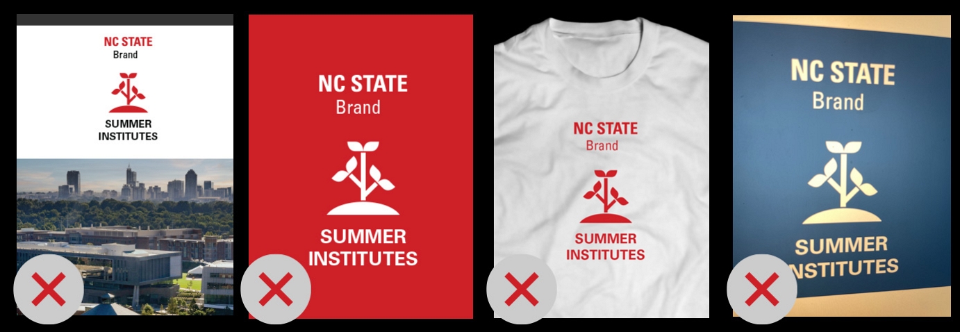 Photo of Summer Institutes merchandise showing incorrect branding