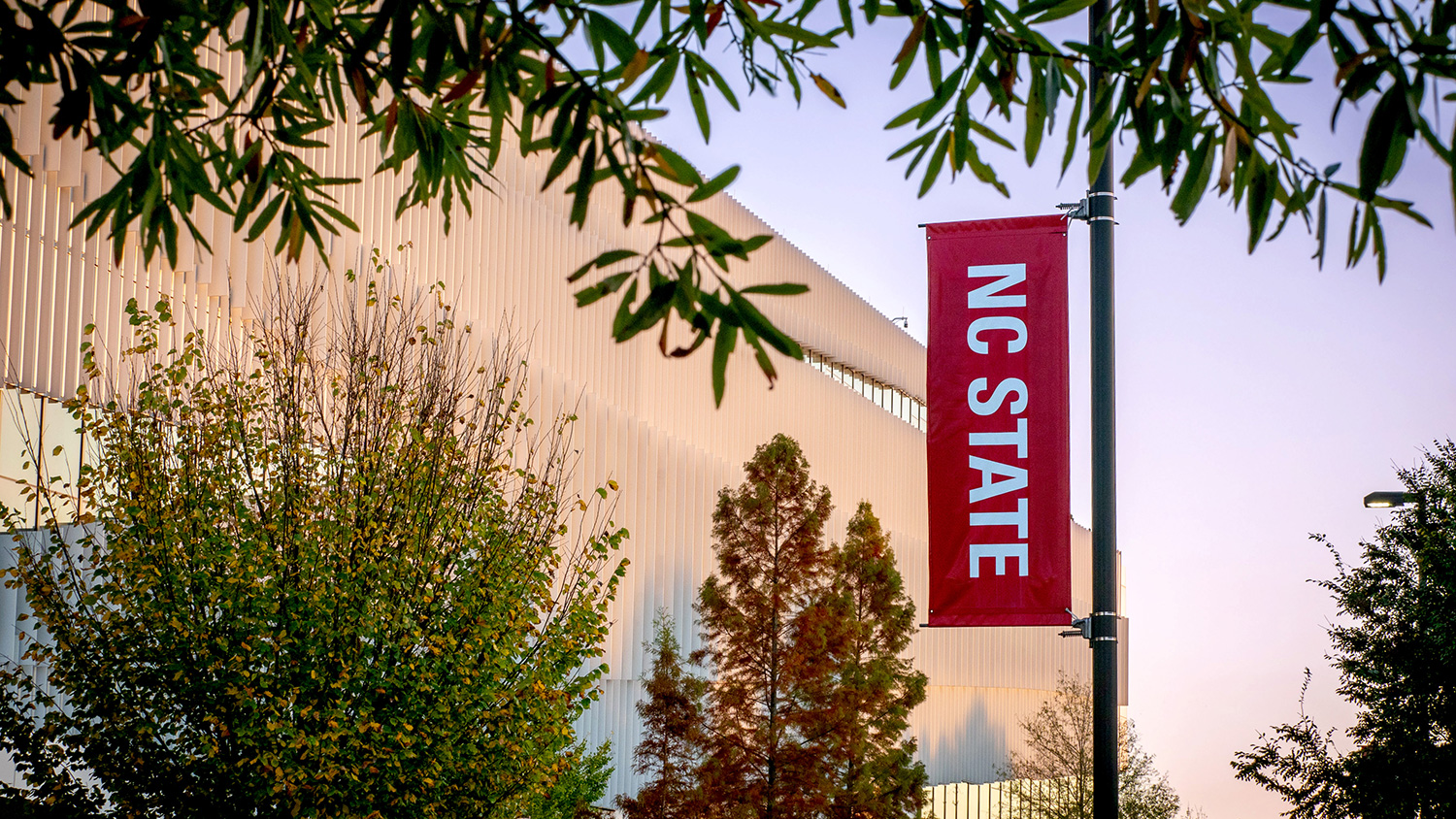 A banner with the NC State logo.