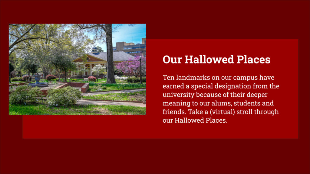 A design element where a photograph and text are aligned neatly, in parallel.