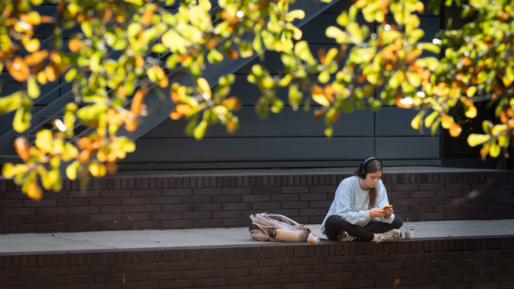 A fan of vibrant fall leaves, with a student working in the background.