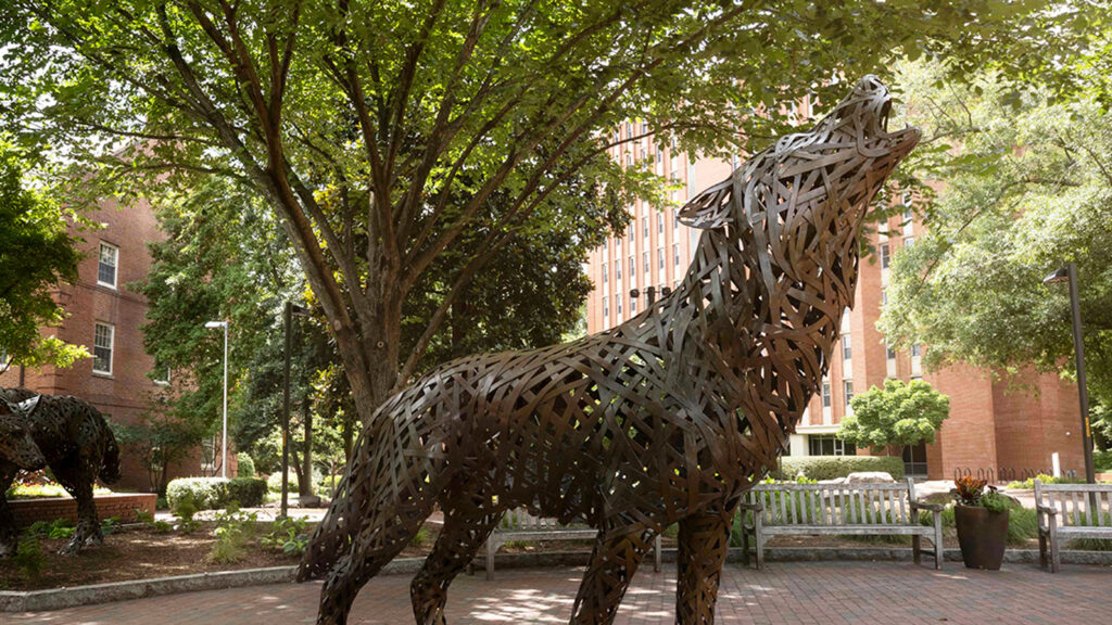 A copper wolf statue on campus.