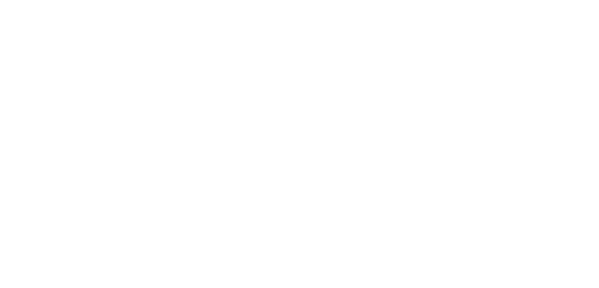 NC State Logo 2x2 White